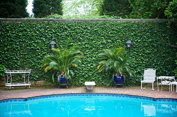 Garden Tour - 607 College - 38