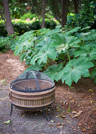 Garden Tour - 964 Park - 15