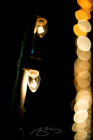 Holiday Lights #2