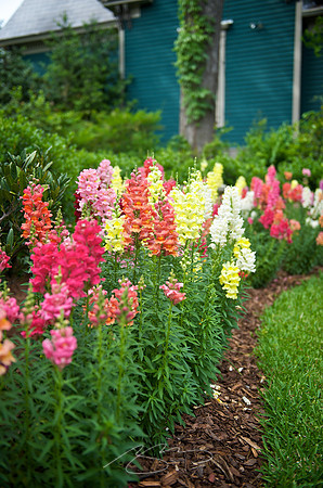 Garden Tour - 964 Park - 11