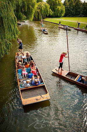 Cambridge-80