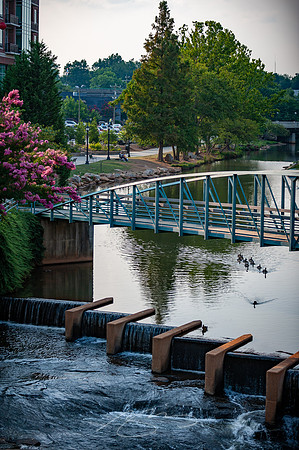 greeneville-17