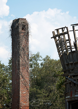 Cumberland Island - Dungeness Ruins 8