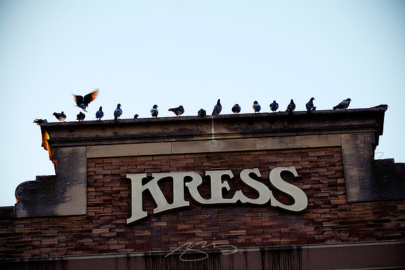 The Kress Birds