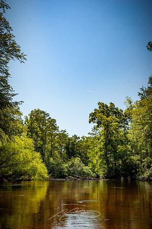 Edisto-River-38