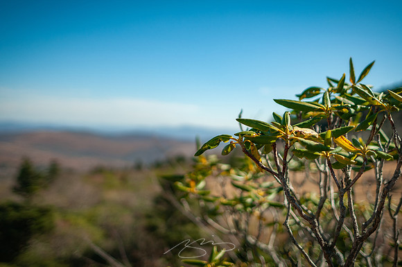 virginia-at-hike-17