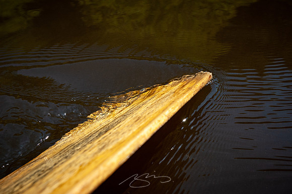 Edisto-River-43