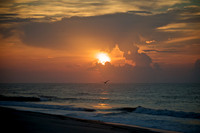Edisto Beach