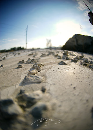 Rocks in Cement Sea