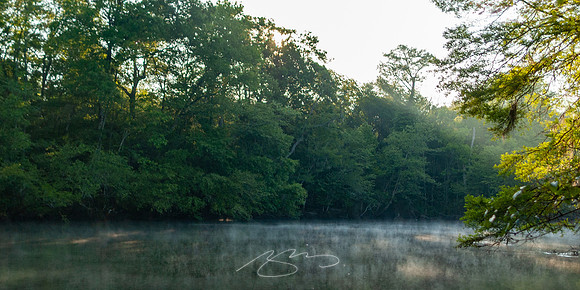 Edisto-River-34