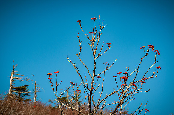 virginia-at-hike-27