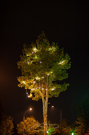 greeneville-50