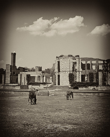 Cumberland Island - Dungeness Ruins 4