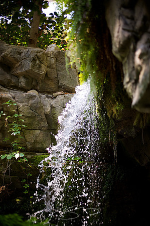 Chattanooga 2011 # 64
