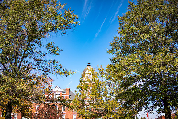 Sandersville - October 2022 - 13 - Courthouse and Trees, Downtown Sandersville