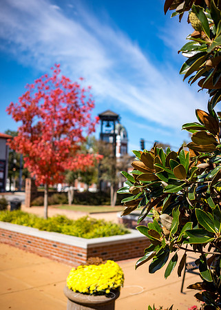 Sandersville - October 2022 - 18 - Magnolia Detail, Park in the Square, 101. S. Harris St