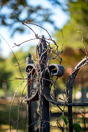 Sandersville City Cemetery - October 2022 - 6