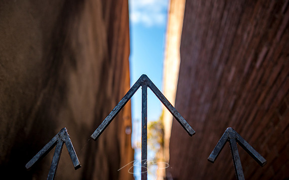 Milledgeville - October 2022 - 8 - Gate and Stairs (Going Up), 129 S. Wayne St