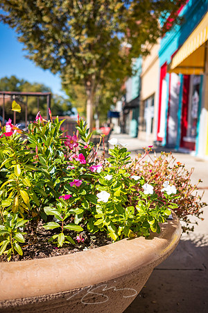 Milledgeville - October 2022 - 13 - Streetscape, S. Wayne St