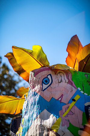Macon - Mercer University - November 2025 - 4 - Painted Tree, Tattnall Park