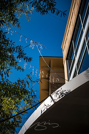 Macon - Mercer University - November 2025 - 11 - Reg Murphy Center for Collaborative Journalism, 1675 Montpelier Ave.