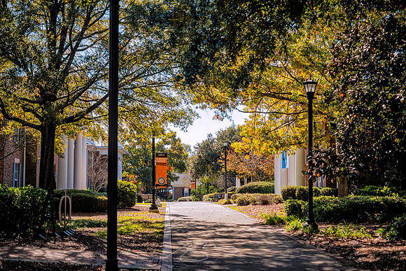 Macon - Mercer University - November 2025 - 17 - Mercer's Greek Village, Linden Ave.