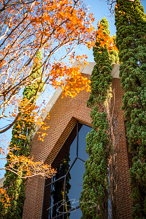 Macon - Mercer University - November 2025 - 33 - Jack Tarver Library #3, 1501 Mercer University Dr,.