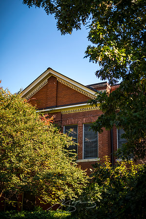 Macon - Mercer University - November 2025 - 38 - Ware Hall Through the Trees, College St.