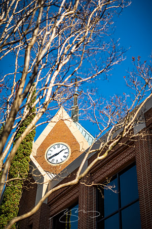 Macon - Mercer University - November 2025 - 34 - Jack Tarver Library #2, 1501 Mercer University Dr,.