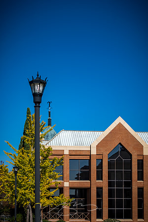 Macon - Mercer University - November 2025 - 32 - Jack Tarver Library #4, 1501 Mercer University Dr,.