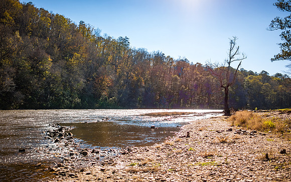 Thomaston - November 2022 - 7 -River and Tree in Afternoon Sun, Sprewell Park (#1)
