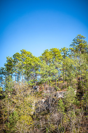 Thomaston - November 2022 - 9 -Bluff Opposite, Sprewell Park