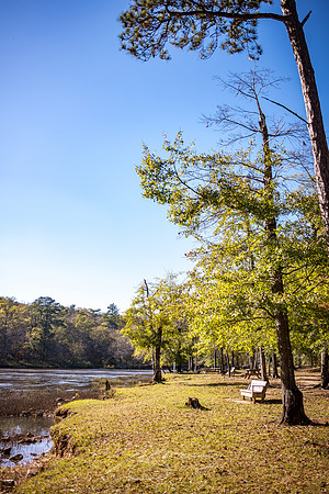 Thomaston - November 2022 - 15 -Bench Overlooking Flint River, Sprewell Park (#1)