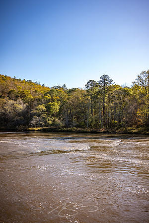 Thomaston - November 2022 - 18 -Flint River Shoals at Sprewell (#4)
