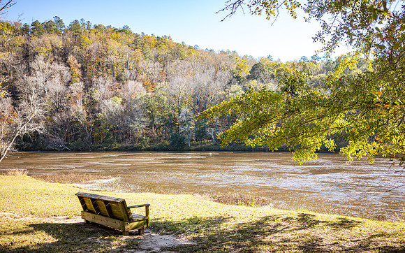 Thomaston - November 2022 - 19 -Bench Overlooking Flint River, Sprewell Park (#2)