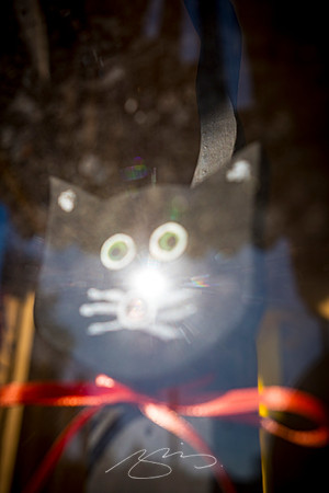 Talbotton - Nov 2022 - 5 - The Cat's Sunny Nose