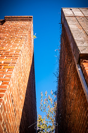 Talbotton - Nov 2022 - 6 - Mind the Gap, 23-31 Washington Ave.