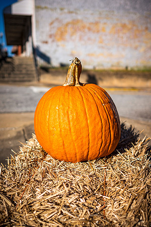 Talbotton - Nov 2022 - 1 - Madison Street Pumpkin