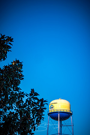 Talbotton - Nov 2022 - 17 - Talbot County Water Tower in the Afternoon Sun
