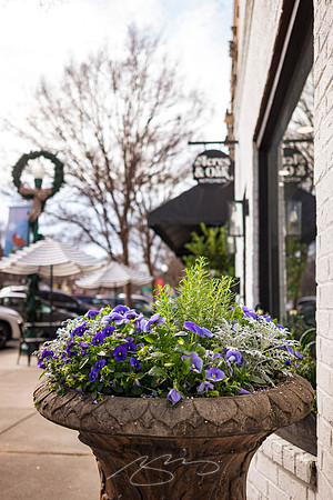 Dublin Downtown - Dec 2022 - 5 - Acrea and Oak Kitchen (Flowers), 105 W. Jackson