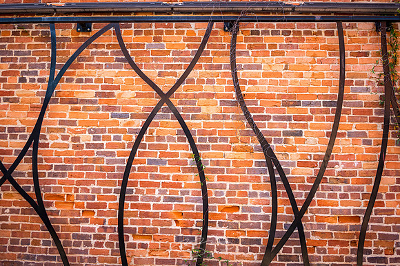 Dublin Downtown - Dec 2022 - 3 - Jackson Plaza Vine and Wall