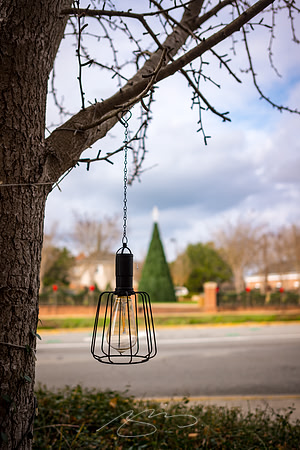 Dublin Downtown - Dec 2022 - 29 - Tree Lights and Lit Tree, Bellevue Ave