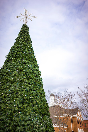Dublin Downtown - Dec 2022 - 31 - Holiday Tree, N. Monroe St. and Bellevue Ave