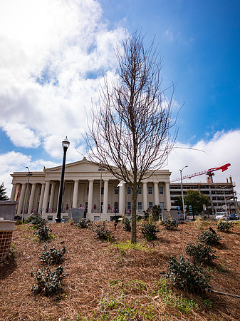 Macon - Mar 2026 - 7 - City Hall (and Construction Crane), from Rosa Parks Sq., Poplar and First Sts.