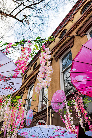 Macon - Mar 2026 - 23 - Cherry Blossom Festival Decor (1), Parish Seafood, 580 Cherry St.