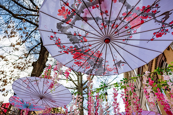 Macon - Mar 2026 - 24 - Cherry Blossom Festival Decor (2), Parish Seafood, 580 Cherry St.
