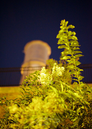 Columbus Photostroll - 58mm #9