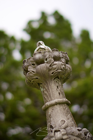 Macon Photostroll - 58mm #16