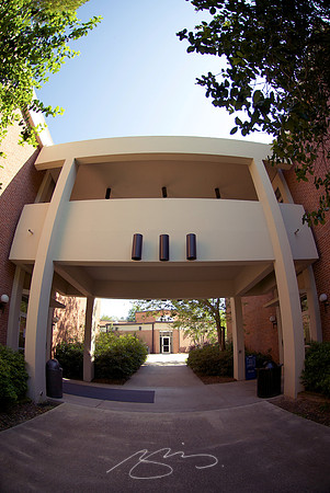 MSC - Bridge (to Learning)