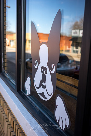 Jackson - Feb 2023 - 2 - Lucy or Lu. 42 N. Mulberry St